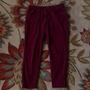 Earl Jean Burgundy Skinny Ankle